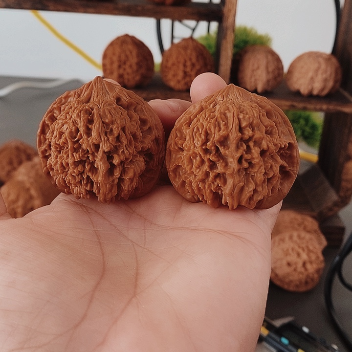 45尺寸红皮大果骨质好