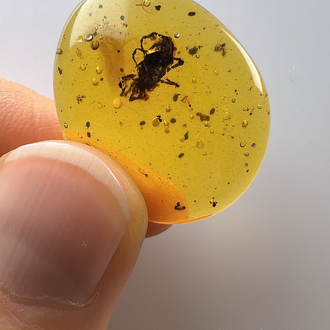 琥珀裸石未镶嵌琥珀虫珀