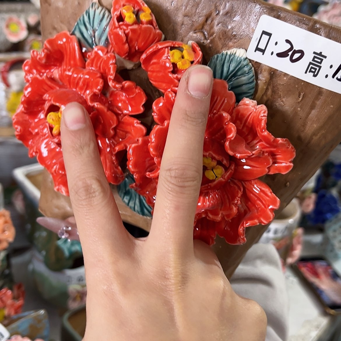 【闪购商品】红陶福利