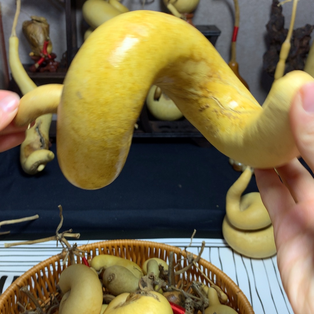 圆***圆葫芦葫芦真的是我喜欢