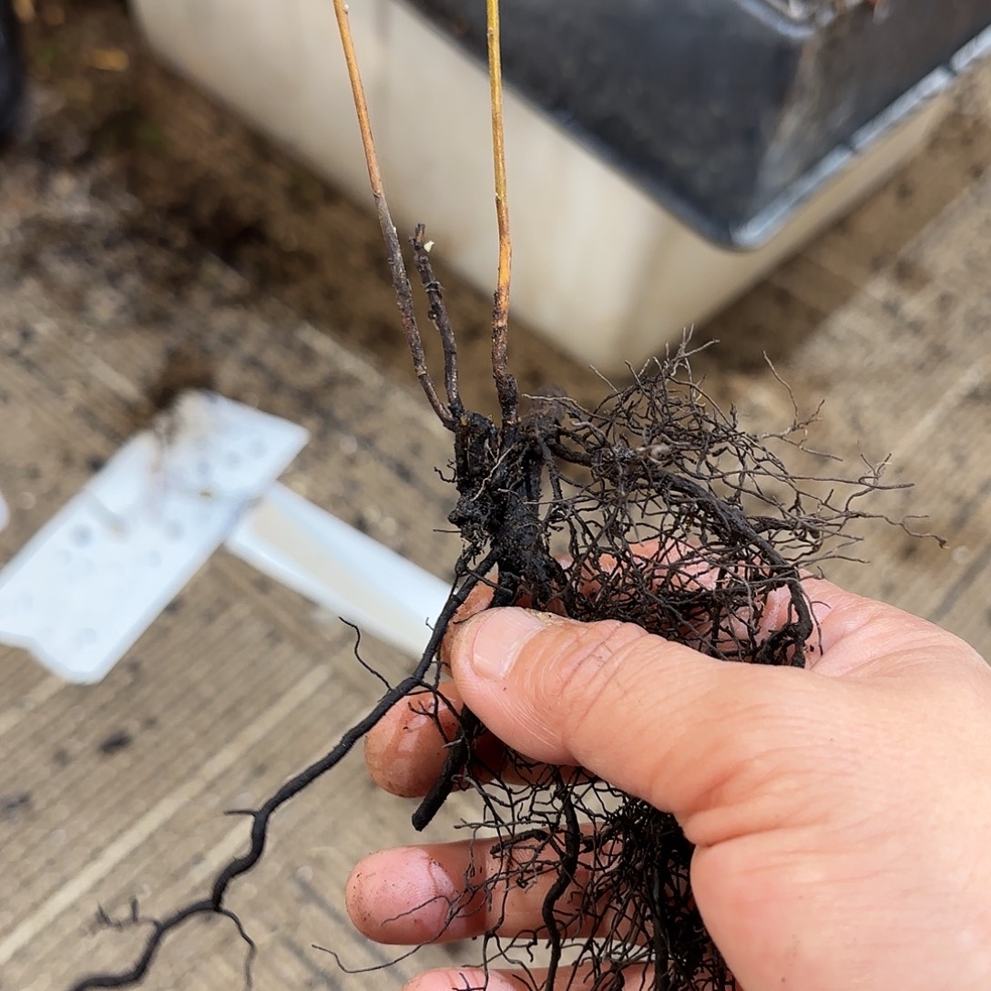 山***佳哈哈哈哈哈哈哈哈哈哈