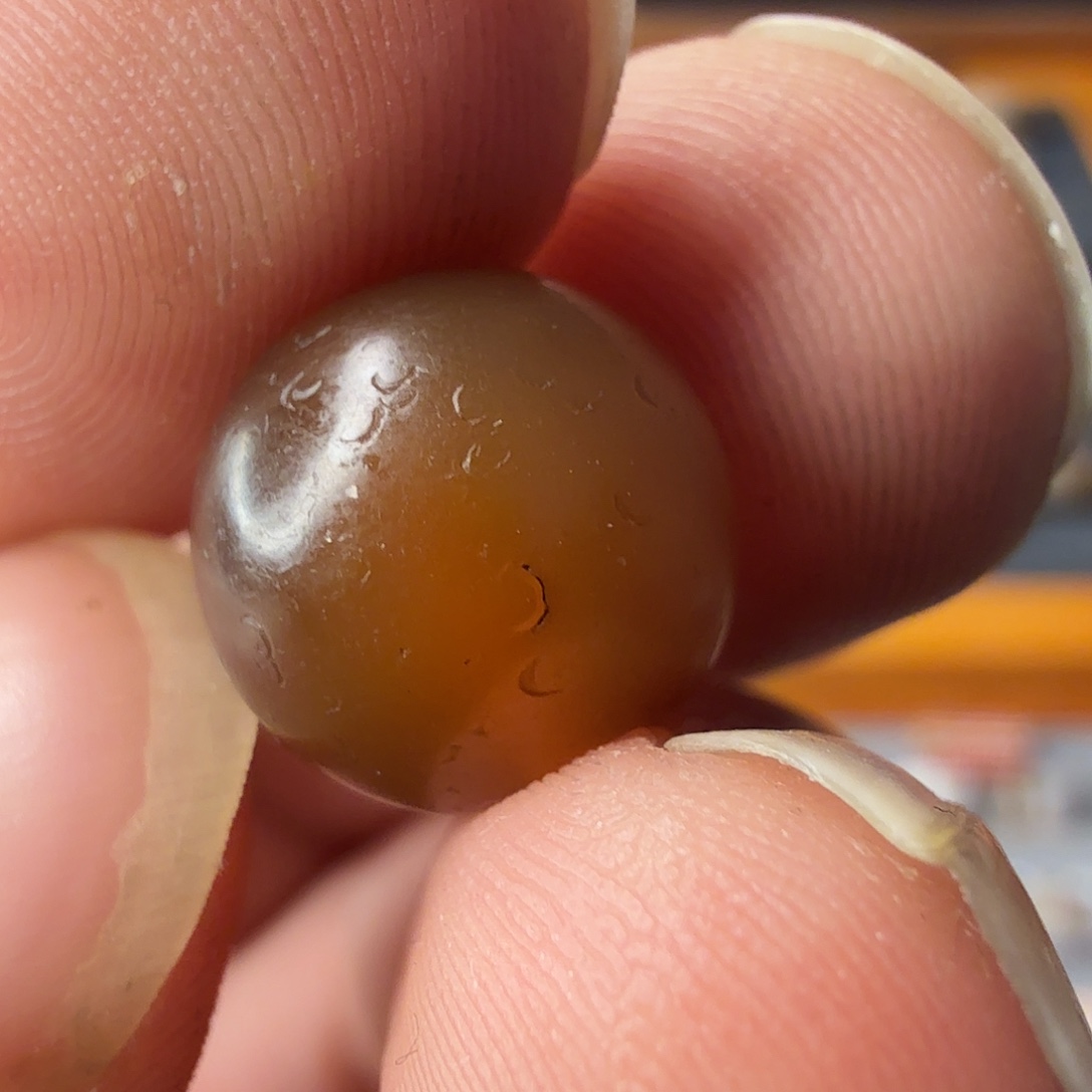 古珠直发专用链接