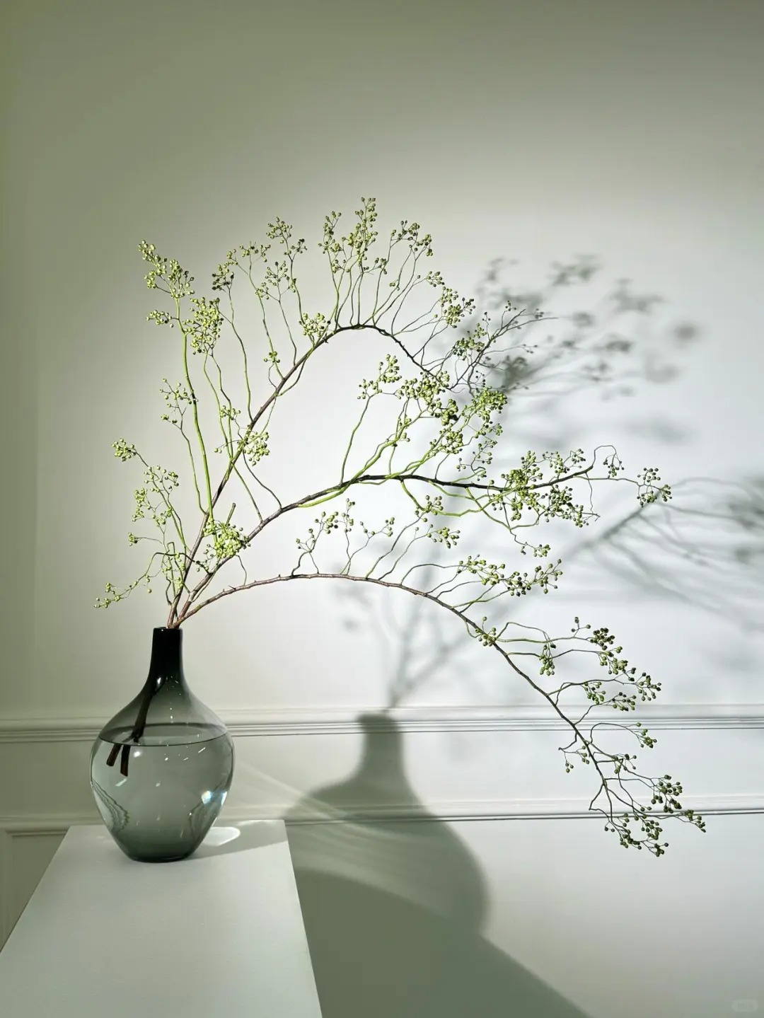 【山归来】山不见我 我自去见山