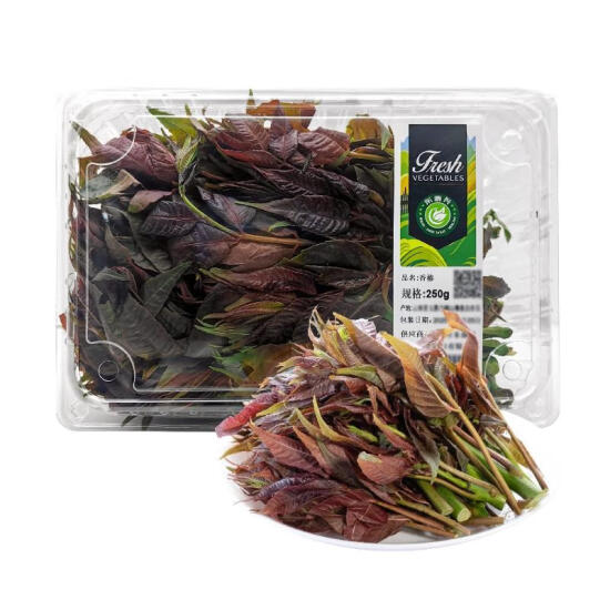  香椿 250g