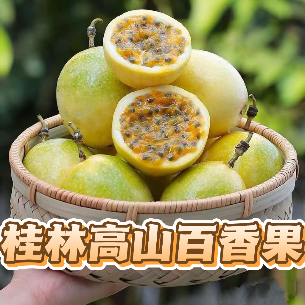 广西桂林高山钦蜜9号黄金百香果精品果园直发基地现摘新鲜应季