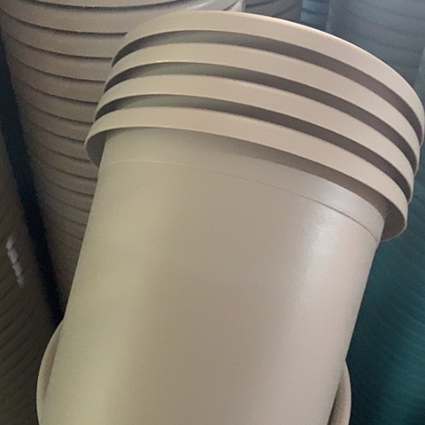 树脂四季4号微瑕灰白带托8套