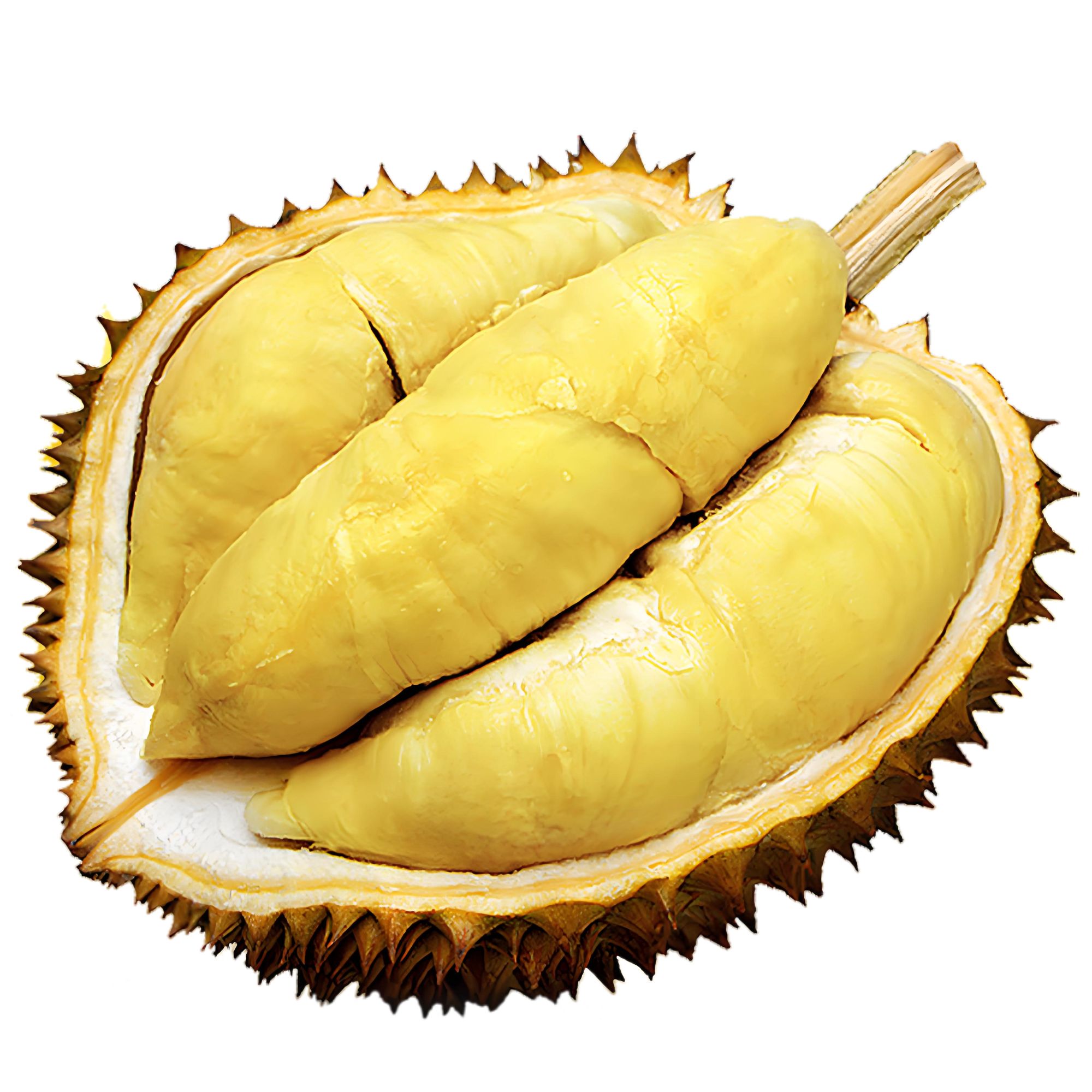 【一果一拍】正宗金枕榴莲 皮薄 肉厚 核小 鲜榴莲约5斤金枕泰国