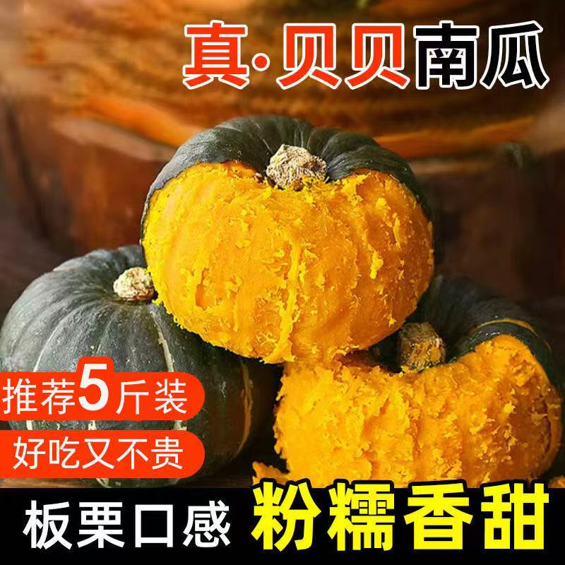 贝贝南瓜新鲜采摘沙地贝贝老农种植代餐粗粮宝宝辅食