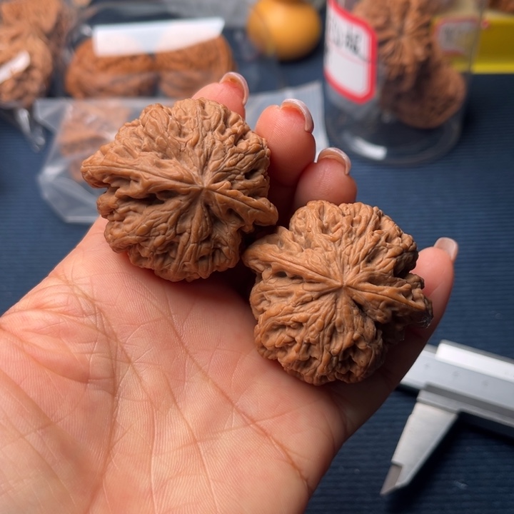 文玩核桃吊坠45粗筋全品