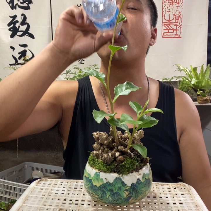 无花朵退款拉黑拉黑124