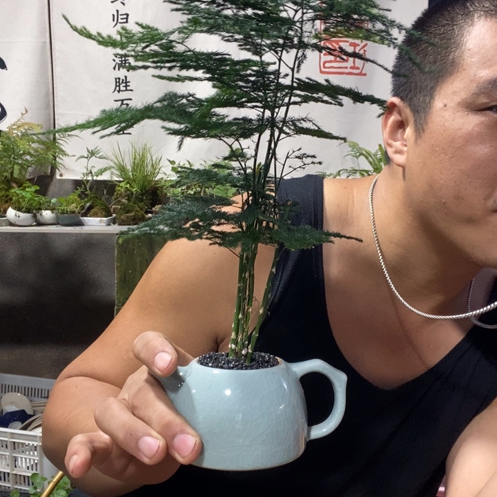 无花朵退款拉黑拉黑173