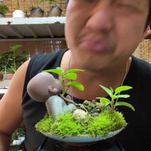 红陶萚*一物一拍所见即所得65