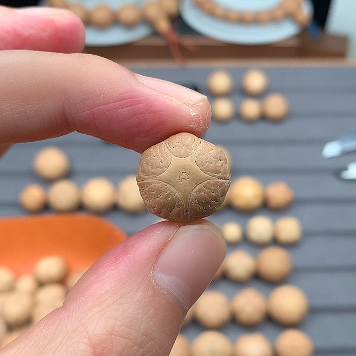 吊坠凤眼菩提特价17+五星，非质量问题开孔不退