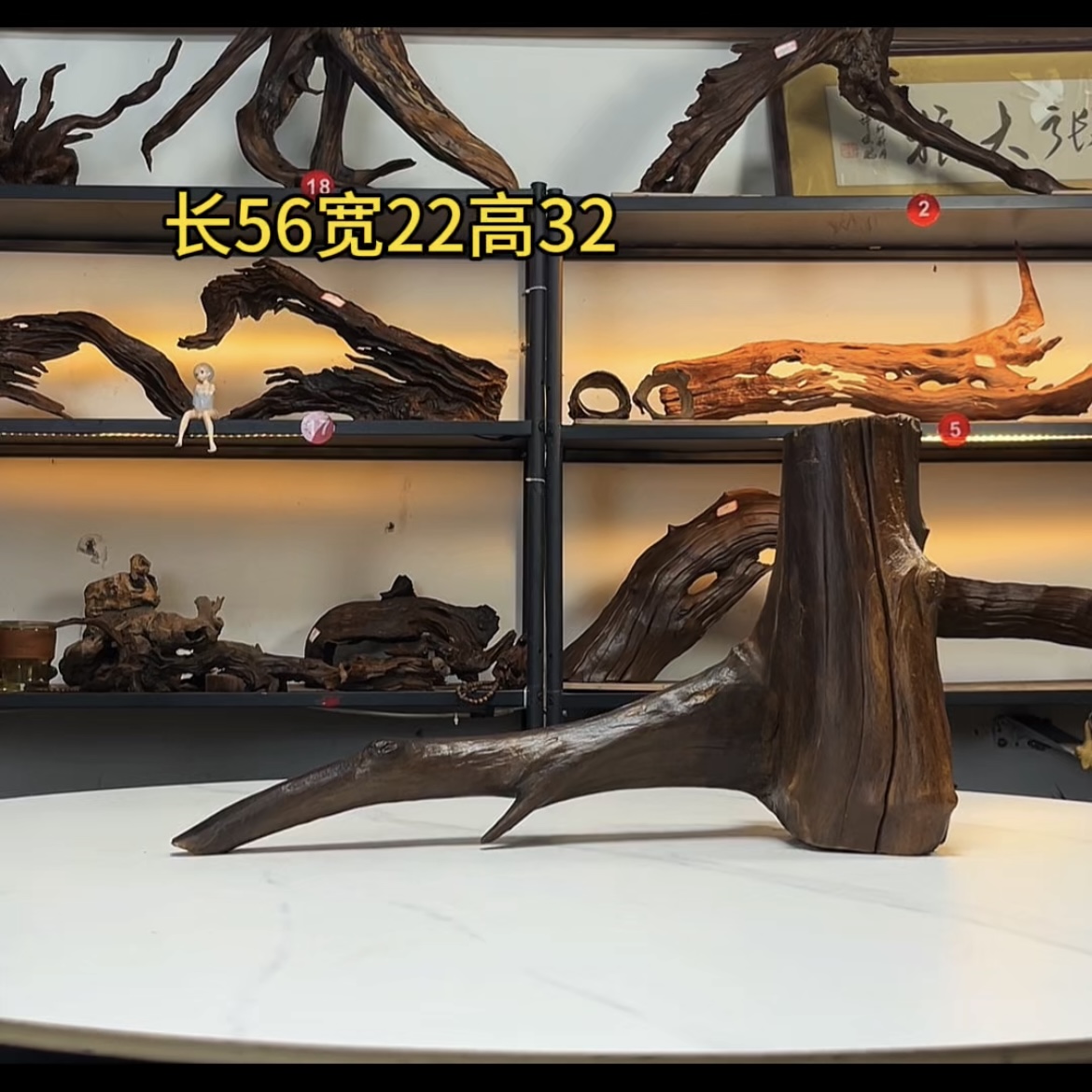 张大狼造景沉木长56cm爆裂圆树桩飘枝 南美鱼缸造黄檀紫柚木秒沉