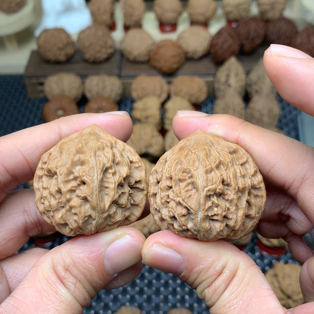 【闪购商品】文玩核桃把件全品水龙纹狮子头41文玩核桃