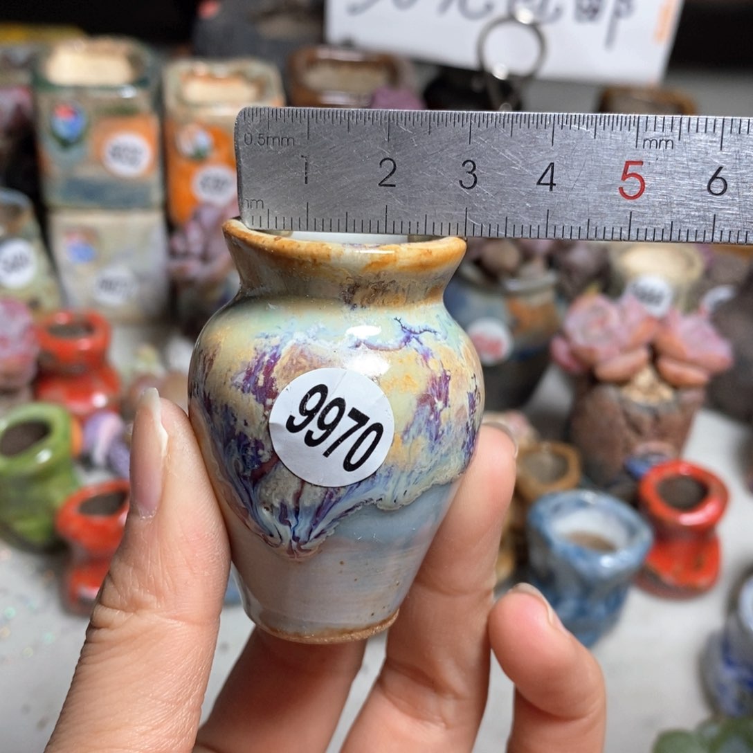 多肉花盆，拍5送一个小礼物