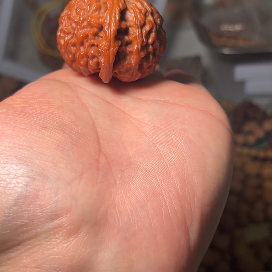 桃核吊坠白狮子核桃40