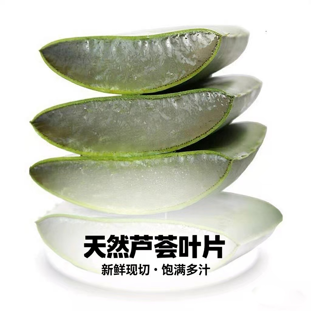 库拉索芦荟叶片可食用美容院灌肤新鲜补水大叶片