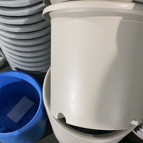 树脂四季6号微瑕灰白无托7个