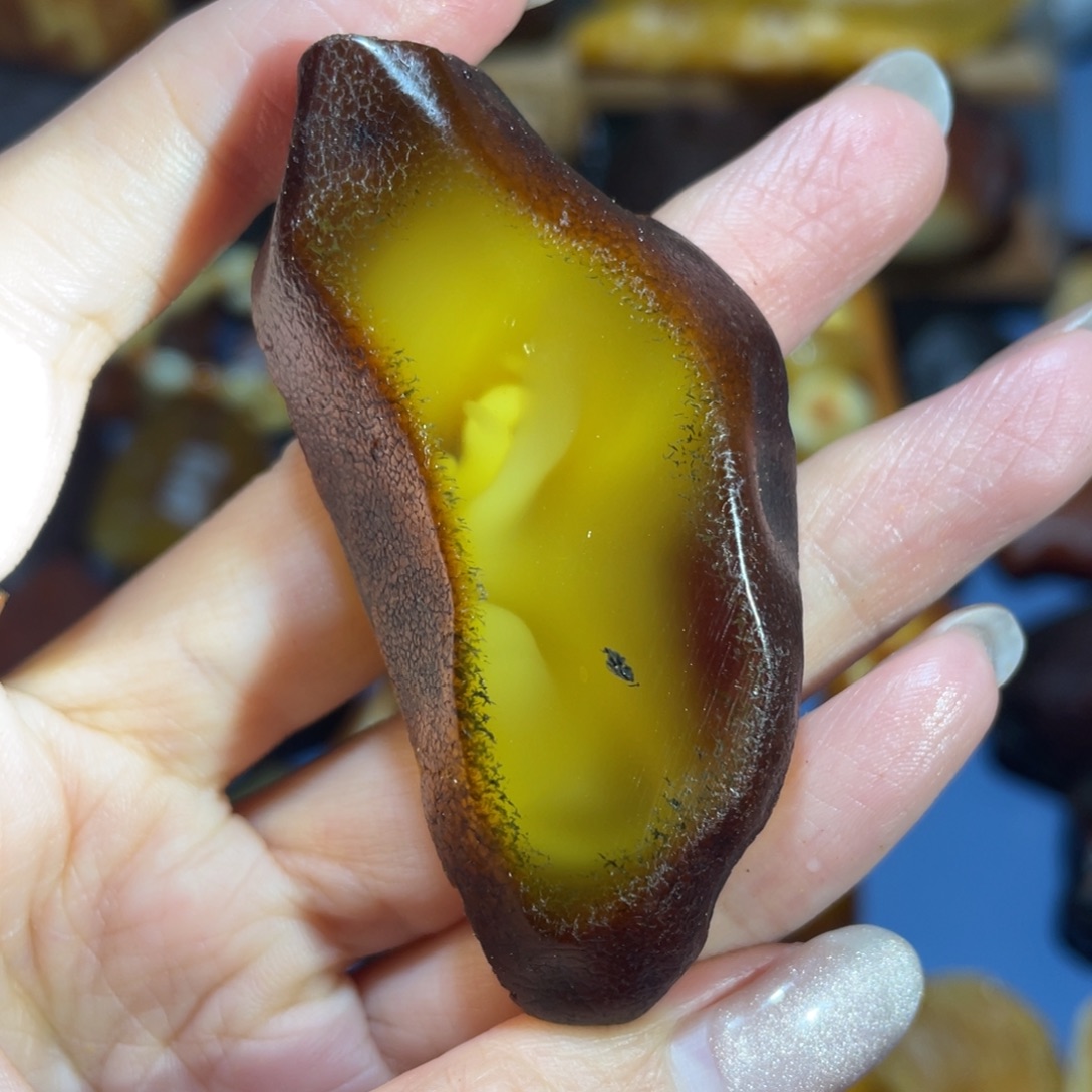 定制蜜蜡未镶嵌波罗的海琥珀蜜蜡原石