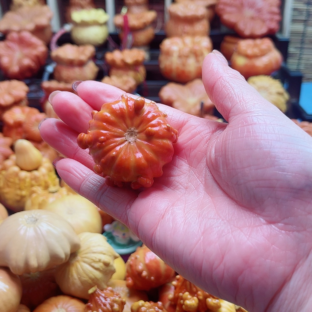 @***️大叶紫檀（黑酸枝木类）