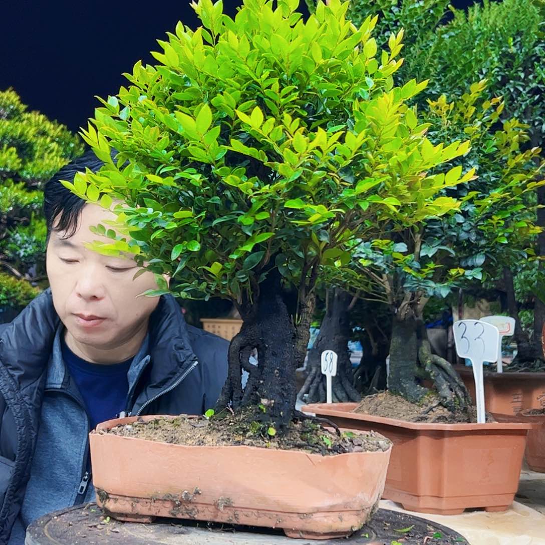 以实际为准用****612345678