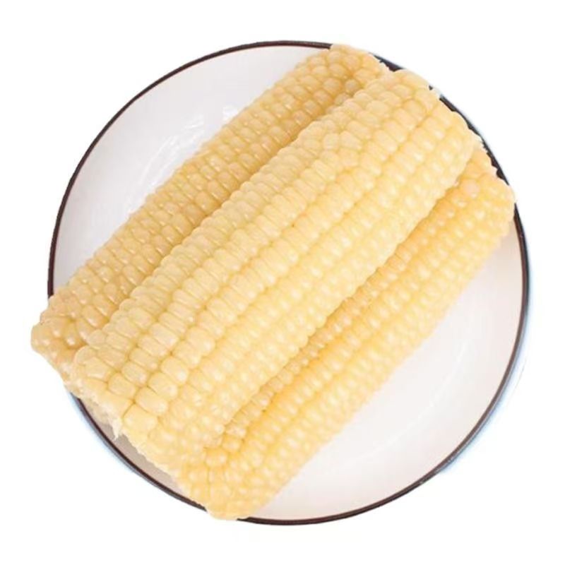 试吃2根东北白糯玉米到手10根 铝箔包装