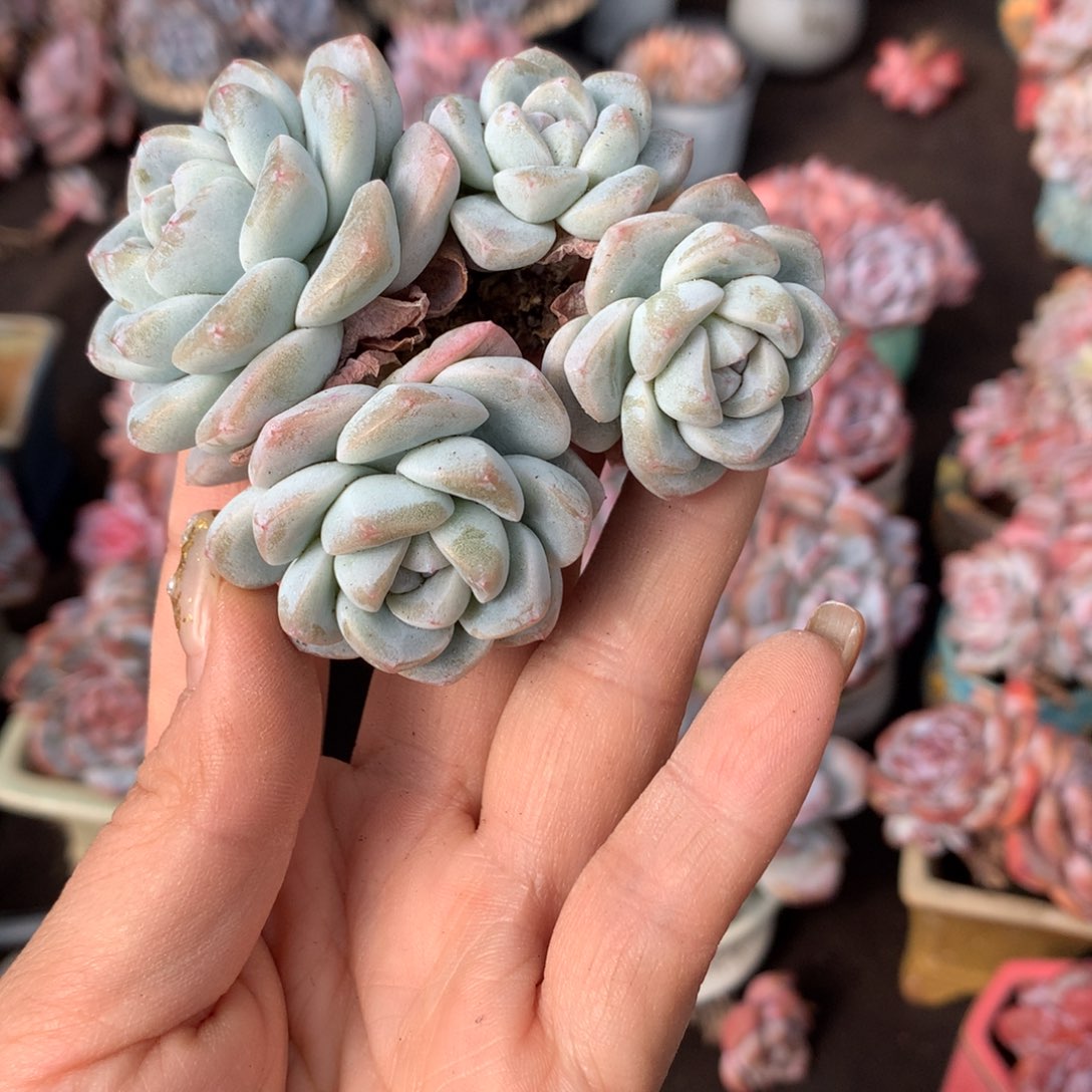 哈哈哈哈哈哈哈哈哈哈哈