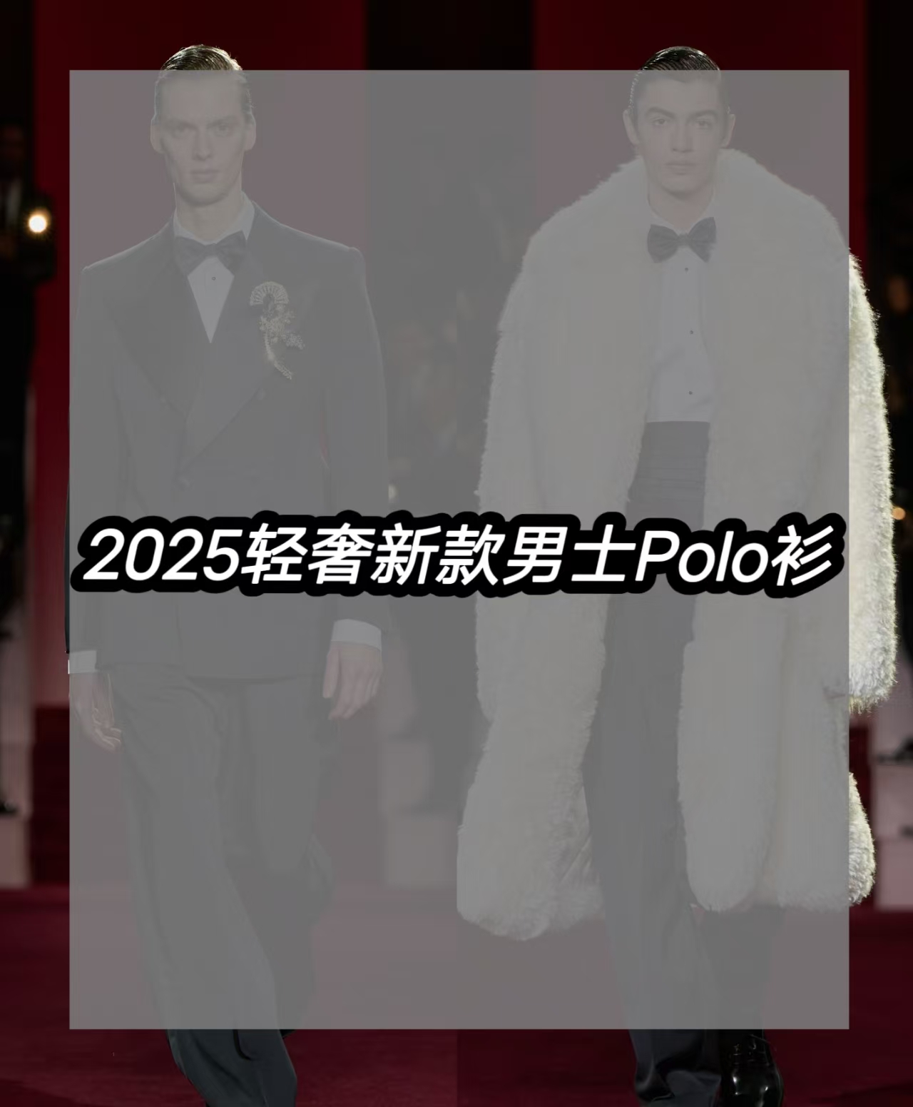 BLYF-Y019-2025新款时尚轻奢男士百搭POLO衫5/29-新