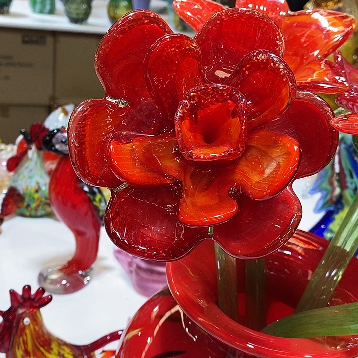 夜光花高45厘米宽12厘米