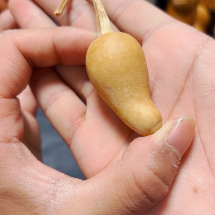 傅****?8888888888888888888