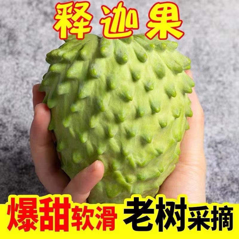 广西老树释迦果新鲜应季牛奶凤梨释迦果纯甜热带水果软糯香甜