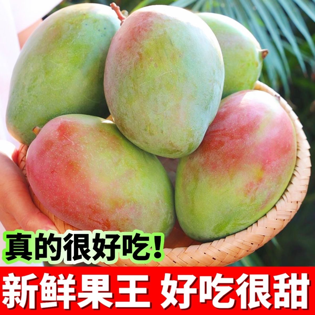攀枝花凯特芒果500g