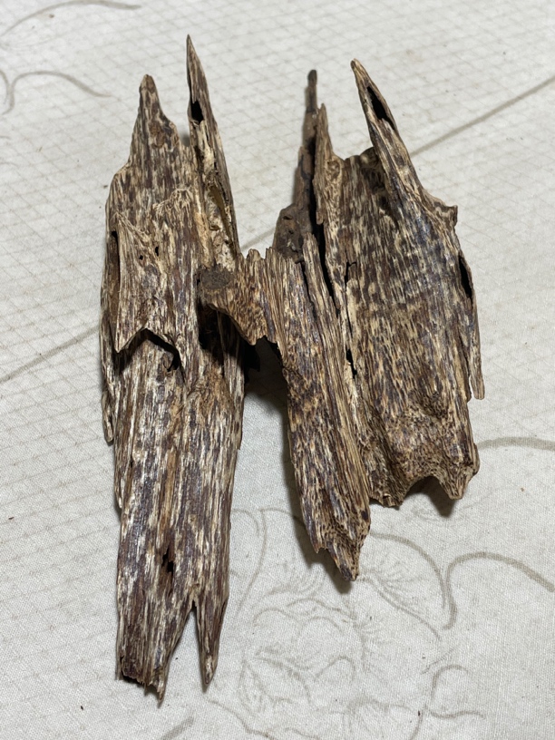 沉香虫漏2个15.6克，越南芽庄天然野料，树心老虫漏，内无杂，清香甜。