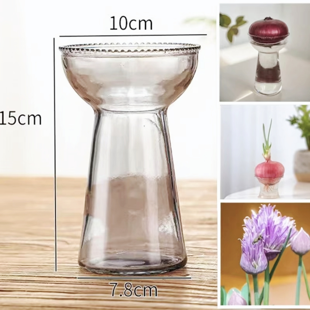 洋葱禄根蔬菜水培盆萝卜红薯大蒜风信子百合铜钱草水培通用盆包邮