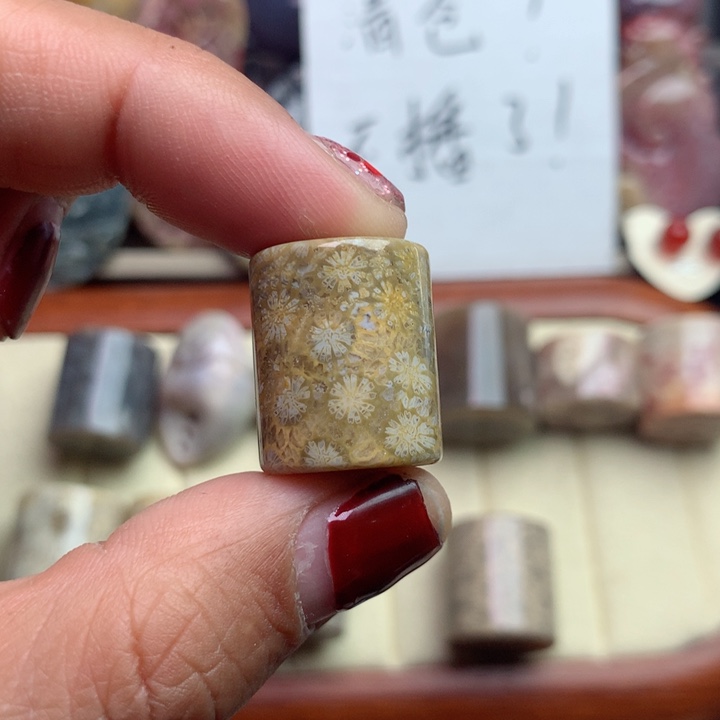 硅化珊瑚（珊瑚玉）颈饰未镶嵌