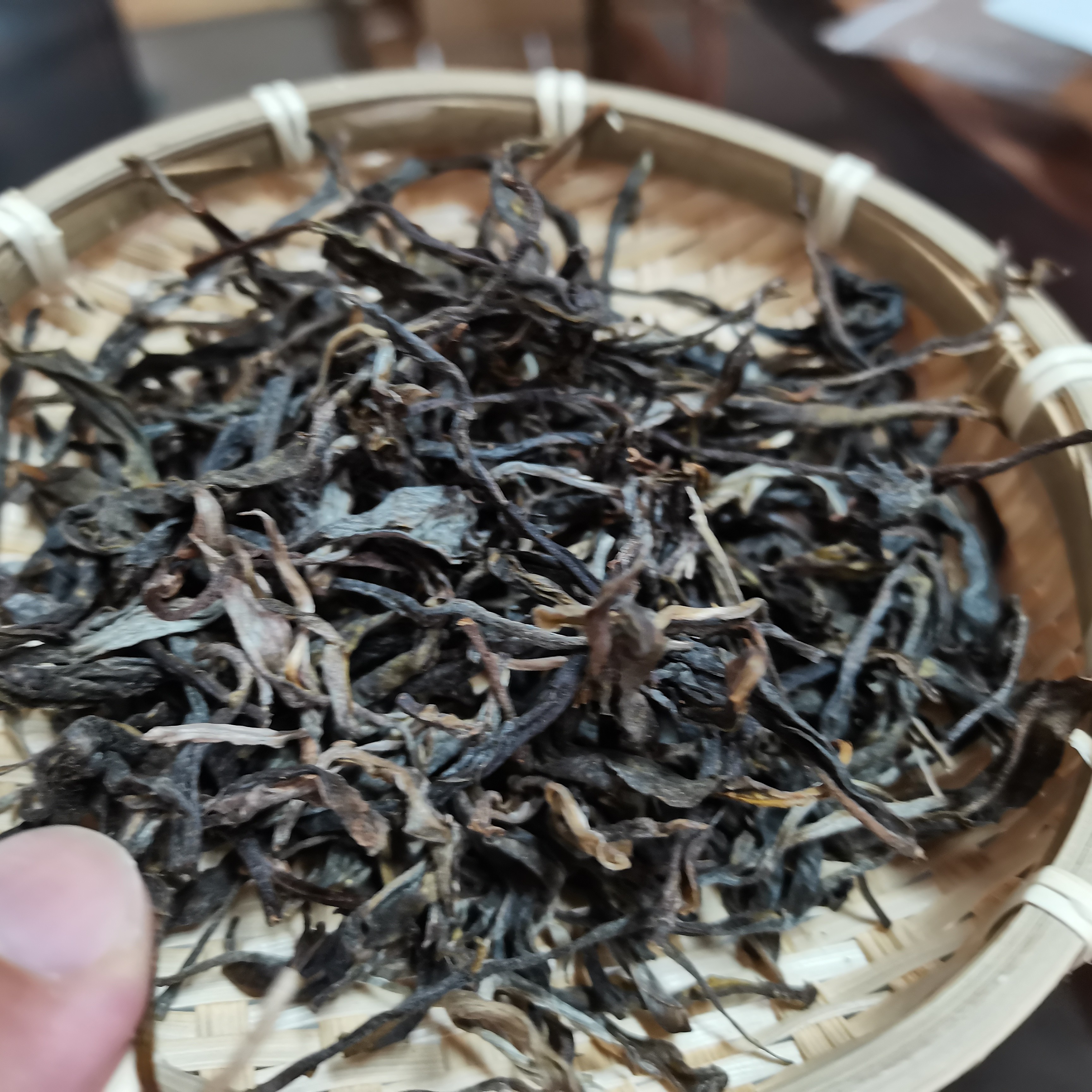 小户赛拉祜寨古树普洱生茶，“赛冰岛”名不虚传，甜过冰岛，香过易武