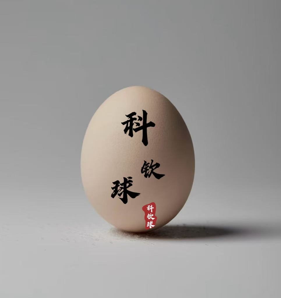 新鲜蛋科钦球中原剑尾斗鸡蛋鸡蛋种蛋早上现捡蛋好吃的