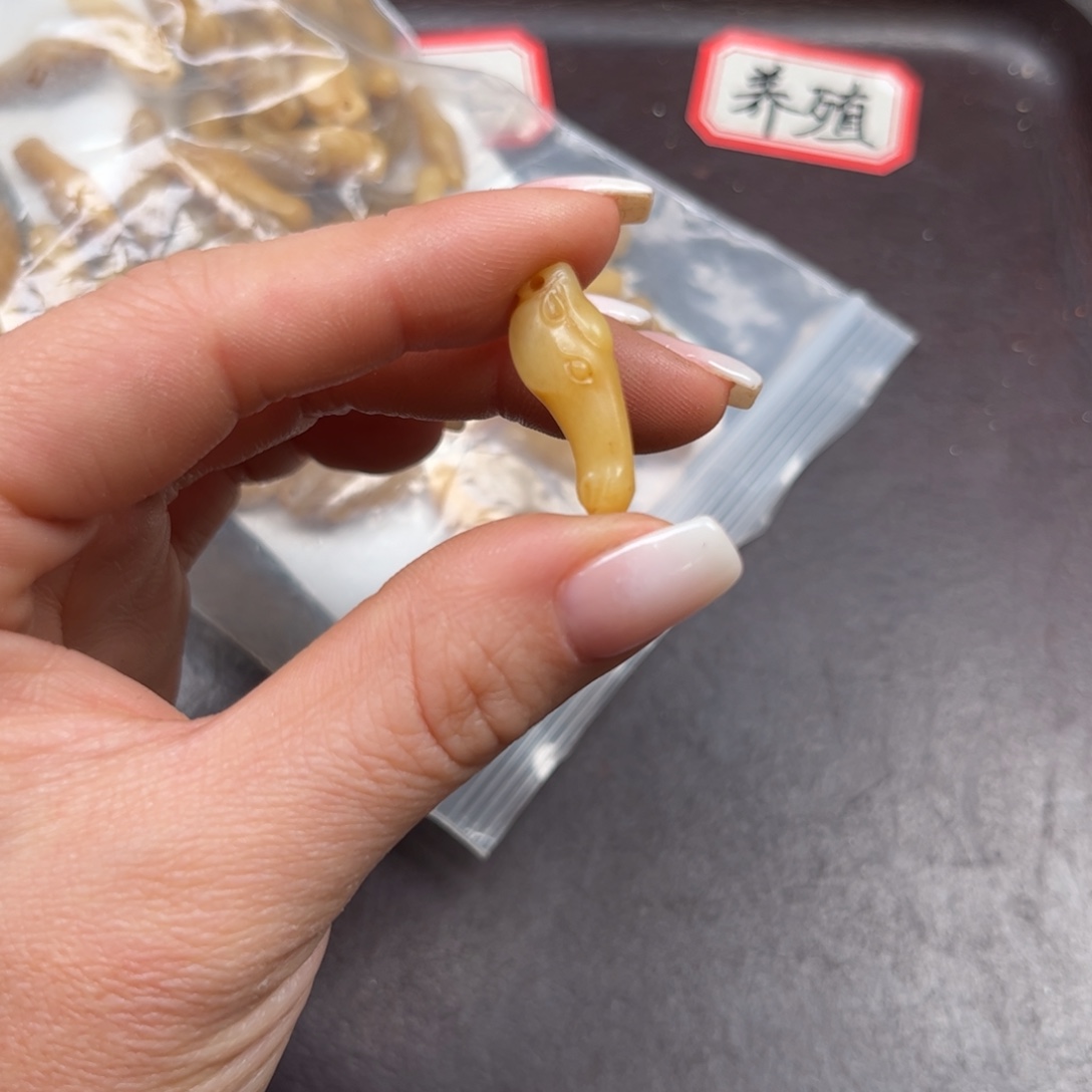 手串/手链驼骨编号197