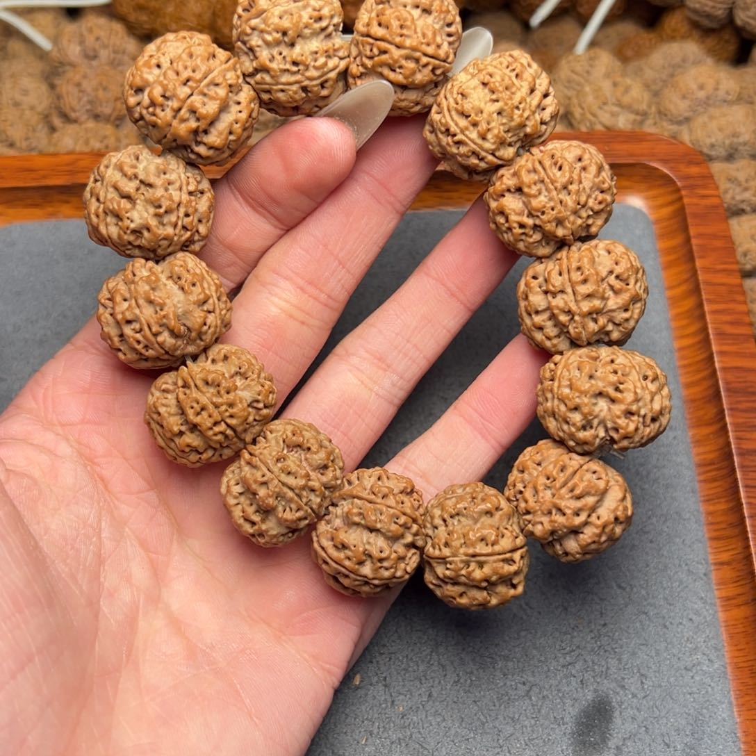 菩提6号尼泊尔大金刚22.5/23梅花