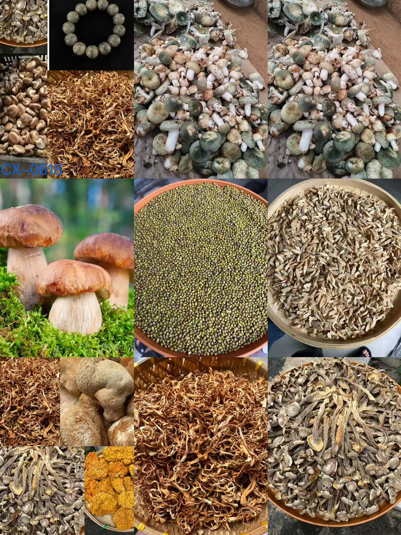 【孙哥专属土特产cx-0618】多样性发货 重量44克