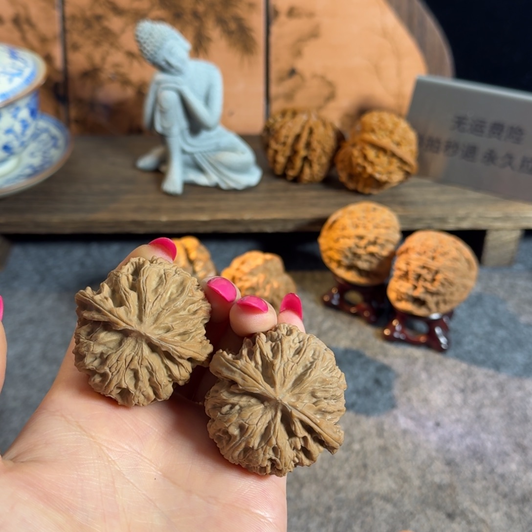 44.545苹果园白茬全品