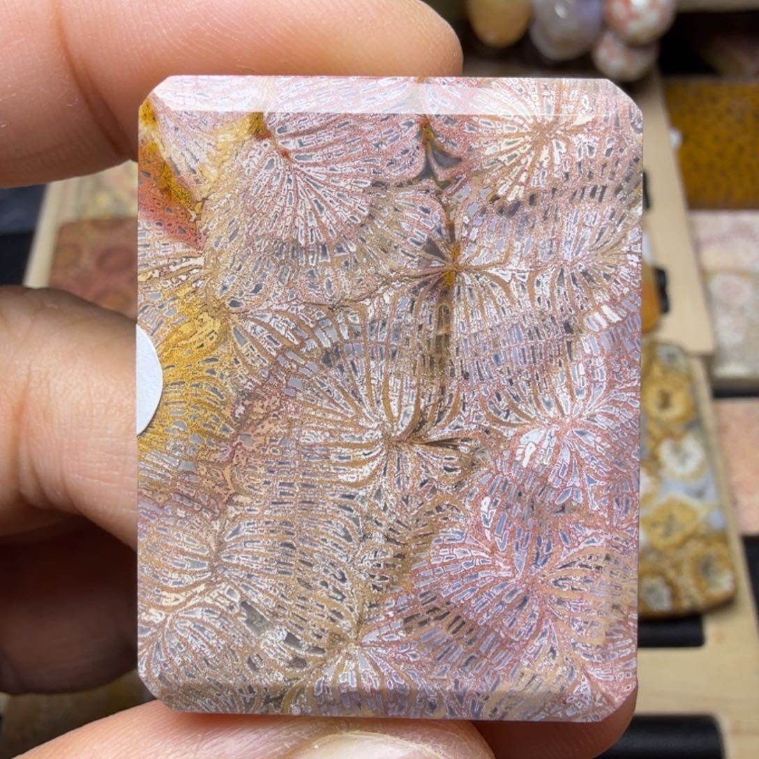 硅化玉未镶嵌纯天然色有机玉石保真色