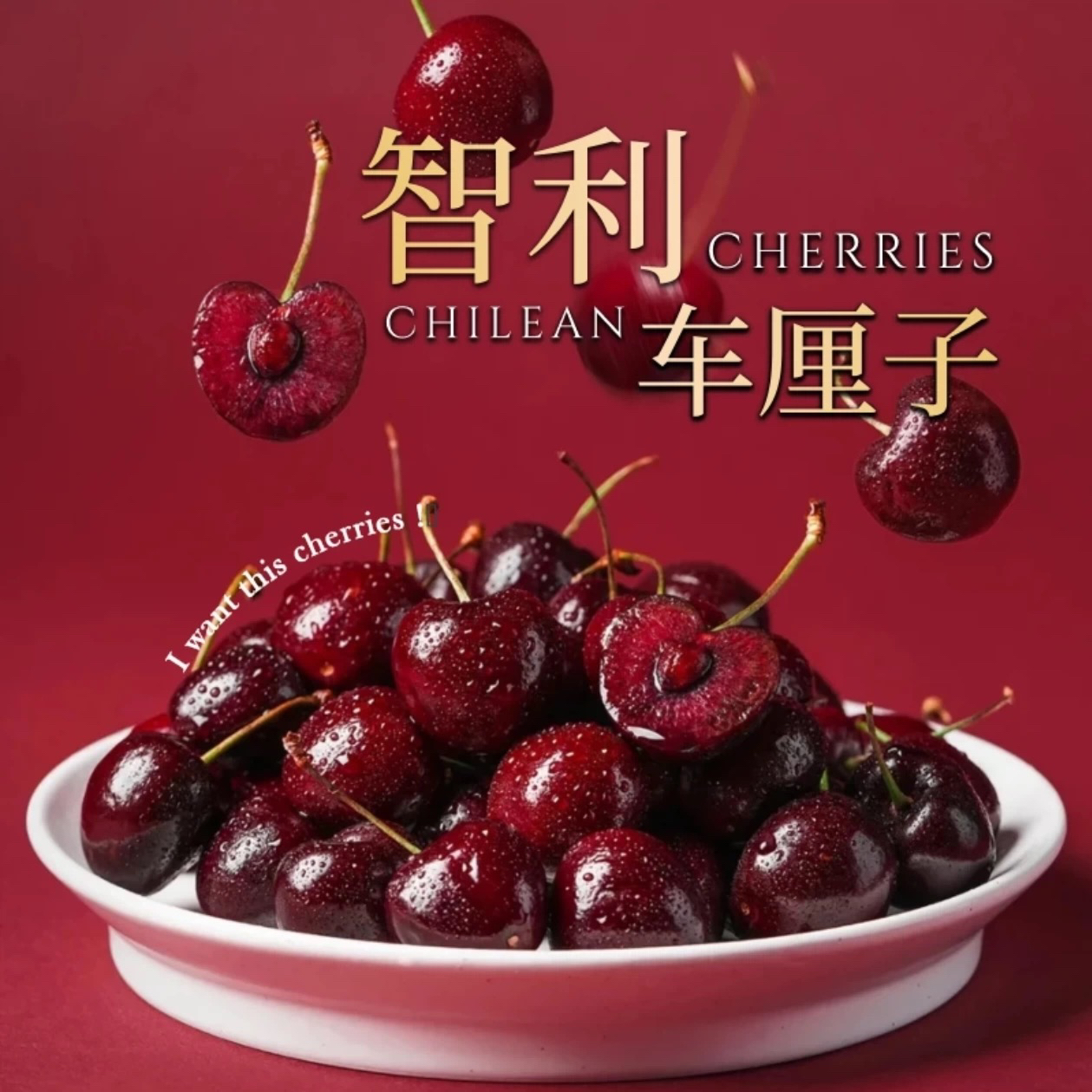 《小军严选》车厘子 车厘子智利空运直达2JD（收货冷藏6小时食用）