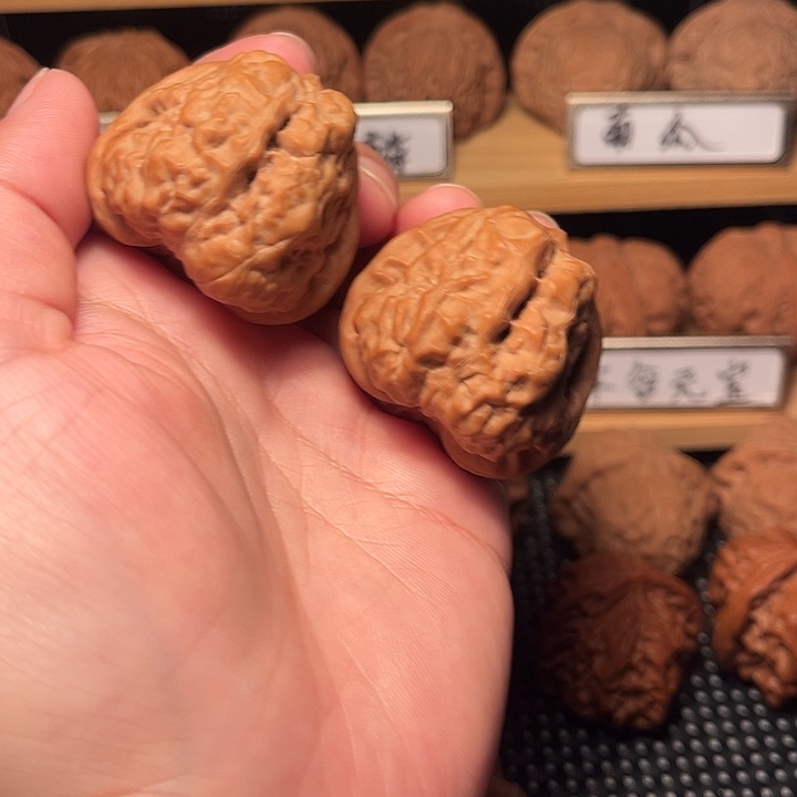 核桃40双开背蛤蟆头