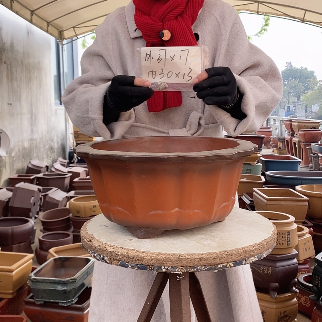 紫砂花盆紫砂花盆