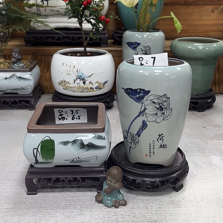 陶瓷花盆抢购福利活动