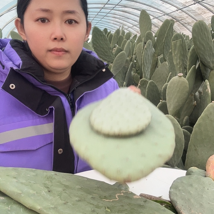 臻***说中国大陆大叶片和一个小片