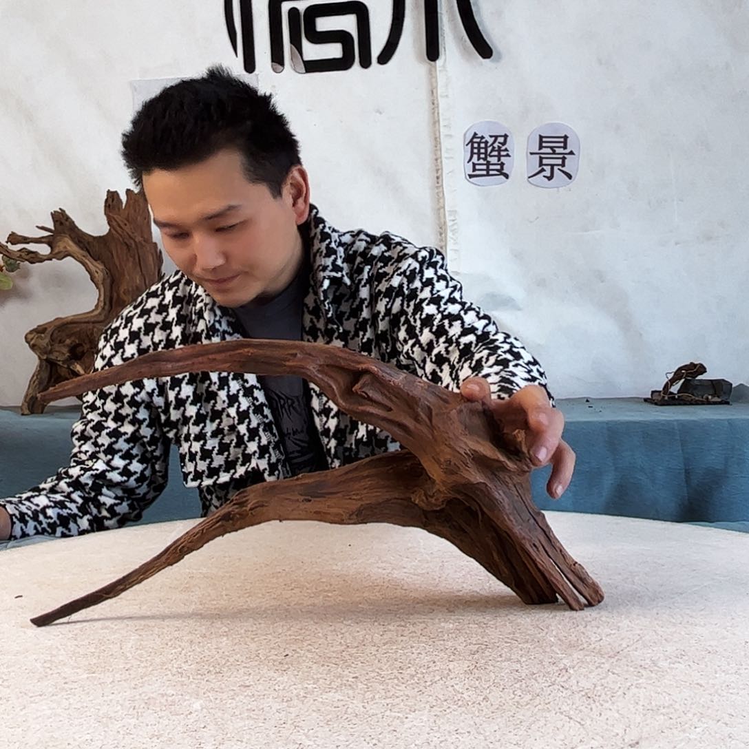 周末福利沉木造景爬宠造景