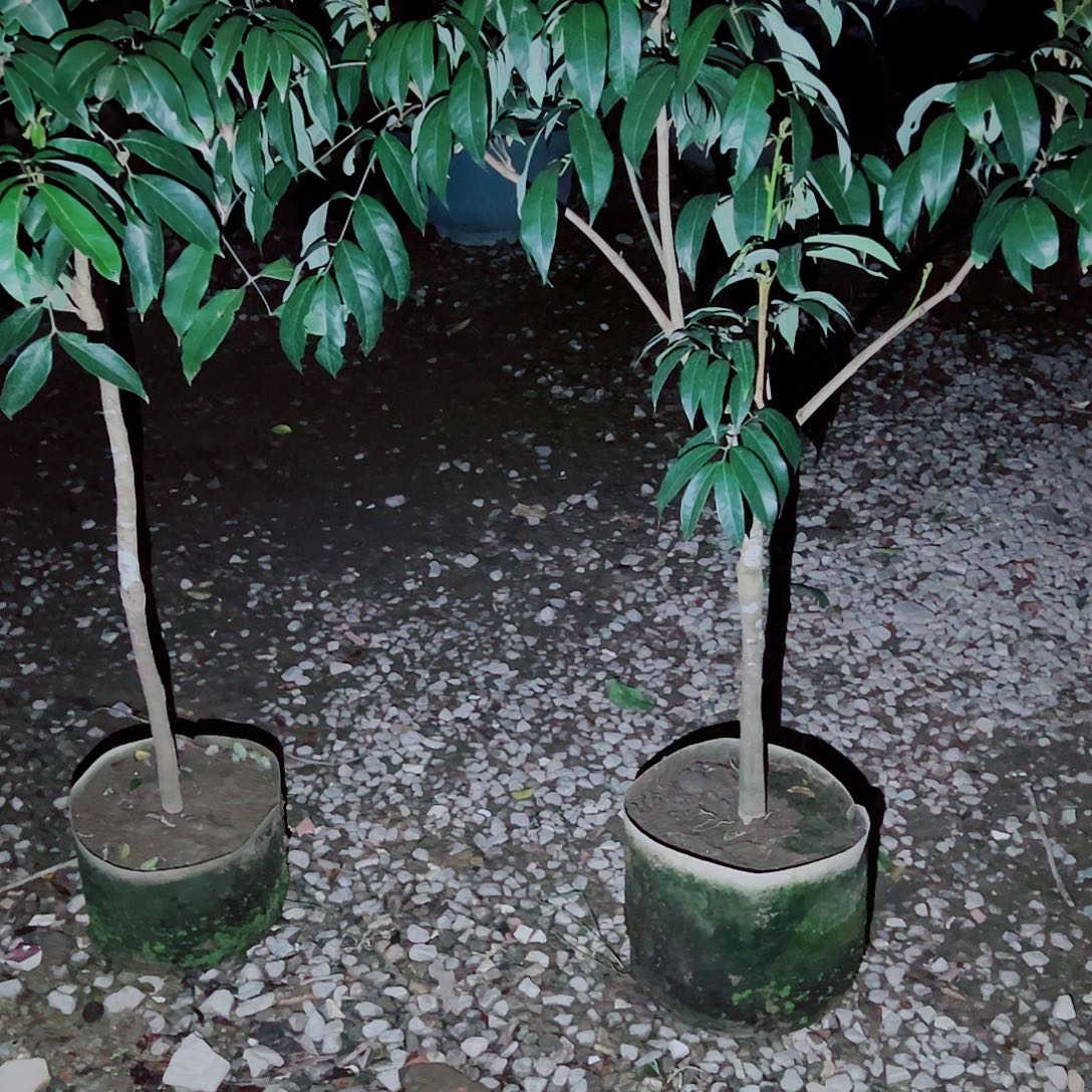 玉***）完全开放11111111111